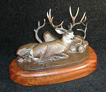 Camo Buck - Mule Deer