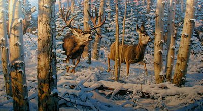 Buck Fever on the Ridge